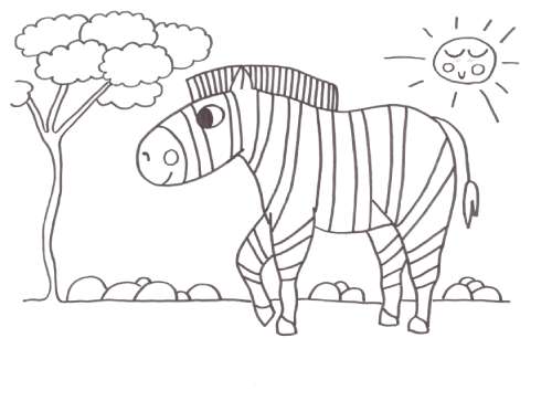 Omalovánka zebra