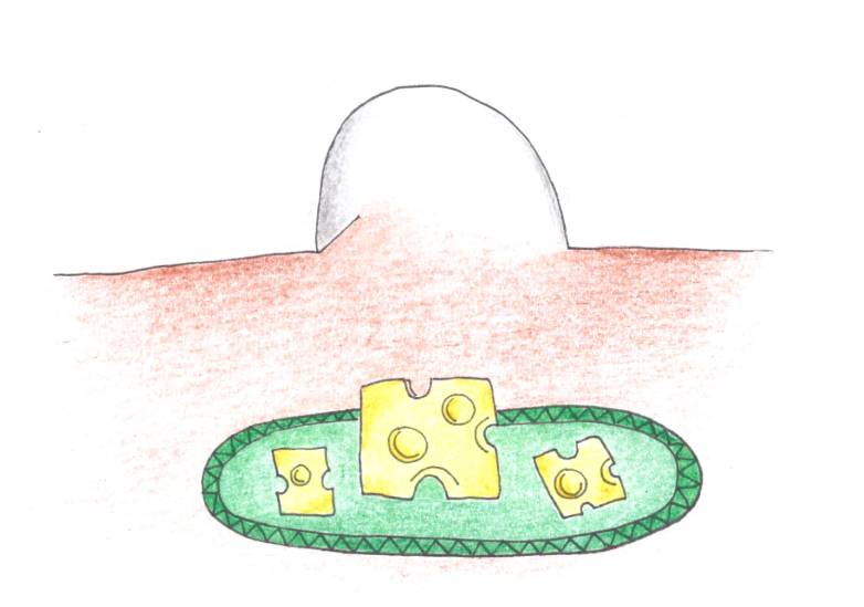 ilustrace talíř se sýrem pred domeckem