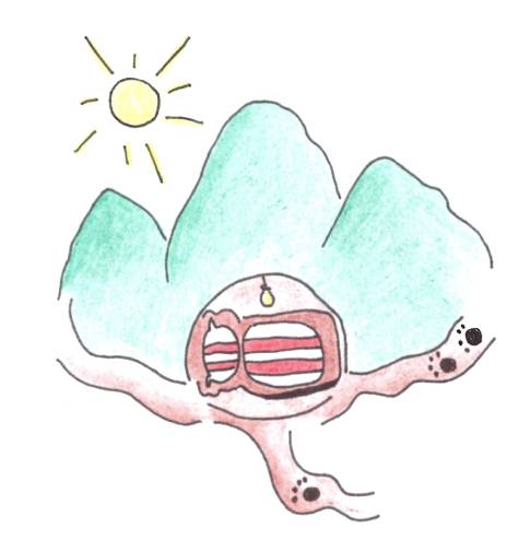 ilustrace hory