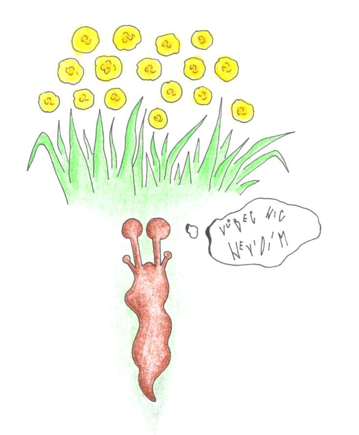 ilustrace šneček bez domečku