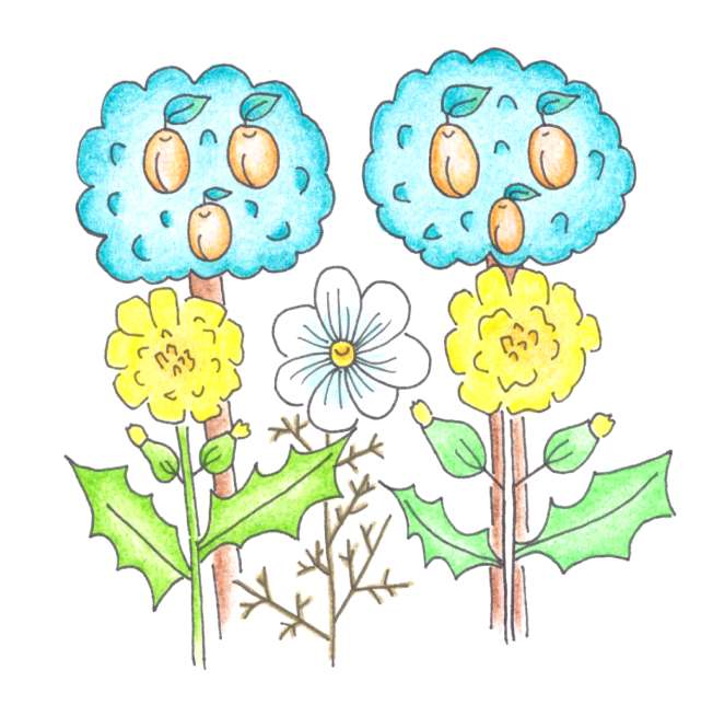 ilustrace květinová louka