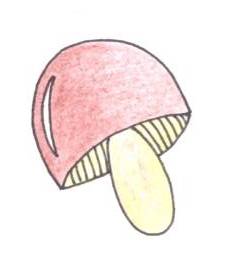ilustrace houba